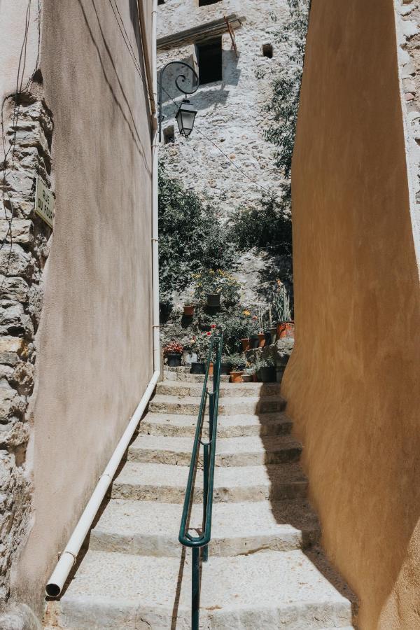 Casa Farniente Appartement Cocooning Provence Verte Montfort-sur-Argens Exterior photo